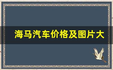 海马汽车价格及图片大全车型(海马汽车suv车型及报价图片)_https://www.lclxwz.com_上期所_第1张