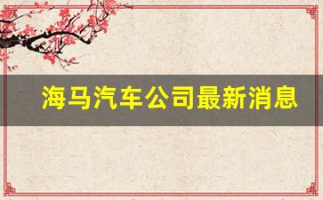 海马汽车公司最新消息(海马汽车最新消息传闻)_https://www.hn-life.com_科创板_第1张