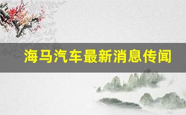 海马汽车最新消息传闻报道(海马汽车海马汽车最新报价及图片)_https://www.qldgs.com_国际期货_第1张