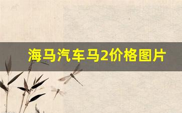 海马汽车马2价格图片(海马汽车最新款多少钱)_https://www.eamstsz.com_创业板_第1张