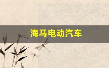 海马电动汽车(海马电动汽车爱尚ev)_https://www.eamstsz.com_创业板_第1张