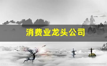 消费业龙头公司(国内消费领域龙头企业)_https://www.wguangz.com_上期所_第1张