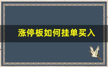 涨停板如何挂单买入(涨停板如何挂单买入知乎)_https://www.taocizhiliang.com_装修公司_第1张