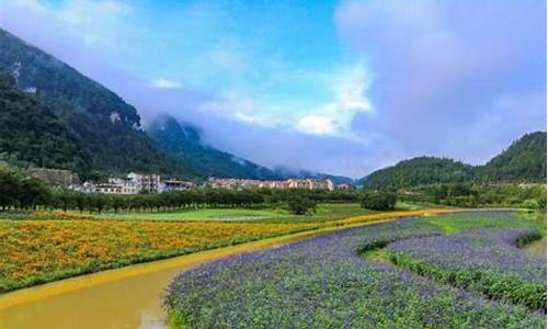 涪陵大木花谷天气预报_涪陵大木花谷