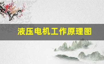 液压电机工作原理图