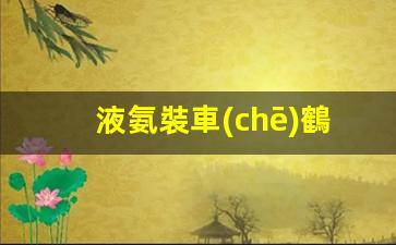 液氨裝車(chē)鶴管廠(chǎng)家(液氨鶴管圖紙)(1)