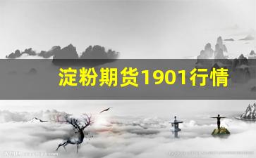 淀粉期货1901行情(淀粉期货最新行情)_https://www.fzdzcxj.com_北交所_第1张