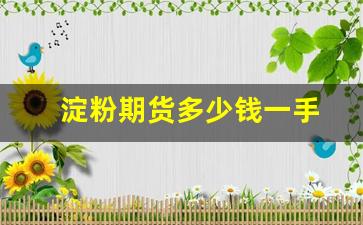 淀粉期货多少钱一手(淀粉期货交易时间)_https://www.gfdzclz.com_北交所_第1张