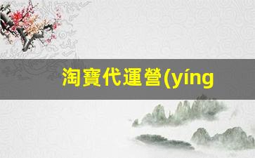 淘寶代運營(yíng)公司哪家好插圖