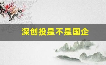 深创投是不是国企(深创投是什么性质的企业)_https://www.gzyhshgzzx.com_广期所_第1张