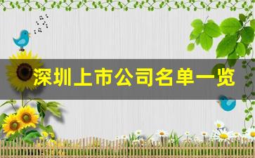 深圳上市公司名单一览表(深圳上市公司排名榜)_https://www.hangfeite.com_深交所_第1张
