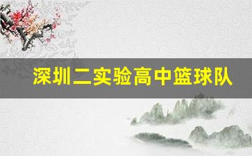 深圳二实验高中篮球队身高-深圳二实验高中