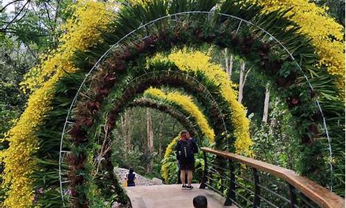 深圳仙湖植物园攻略一日游最佳路线_深圳仙湖植物园攻略一日游最