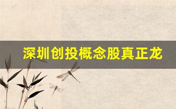 深圳创投概念股真正龙头股(深圳创投概念股真正龙头股票有哪些)_https://www.luoxuangg888.com_科创板_第1张