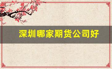 深圳哪家期货公司好(深圳哪家皮肤科比较好)_https://www.dcjwmf.com_中金所_第1张