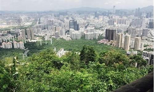 深圳大南山公园地址_深圳市大南山公园