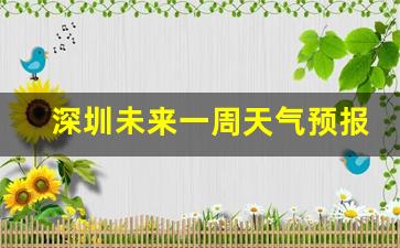 深圳未来一周天气预报15天天气预报_深圳未来一周天气预报30天准确一些最新