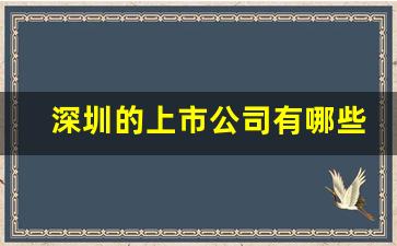 深圳的上市公司有哪些公司(深圳股票名单一览表)_https://www.hangfeite.com_上交所_第1张