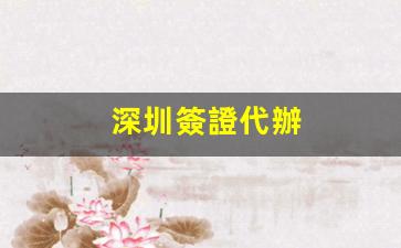 深圳簽證代辦一站式服務(wù)，揭秘前十名專業(yè)機(jī)構(gòu)排名榜單