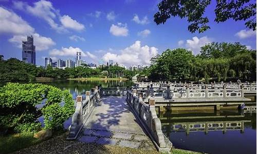 深圳荔枝公园花鸟鱼虫市场位于深圳市福田区红岭中路_深圳荔枝公