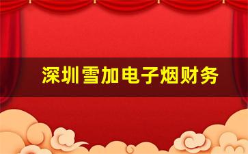深圳雪加电子烟财务