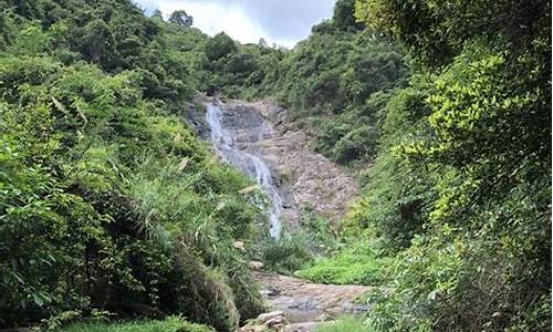 深圳马峦山森林公园_深圳马峦山