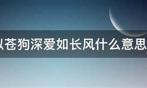 深爱如长风什么意思_浅喜似苍狗深爱如长风什么意思