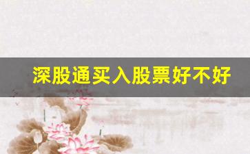 深股通买入股票好不好(深股通专用买入好不好)_https://www.hbxfywj.com_证券知识_第1张