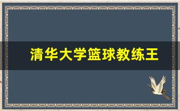 清华大学篮球队教练-清华大学篮球教练王