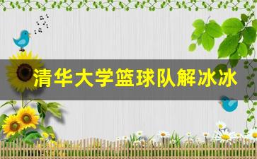 清华大学 冰球-清华大学篮球队解冰冰