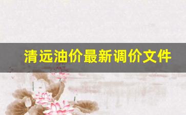 清远油价最新调价文件_清远今日油价92汽油价格