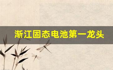 渐江固态电池第一龙头股(浙数文化固态电池)_https://www.qgjzrcxxzxpt.com_郑商所_第1张