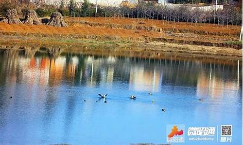 渐江鸟镇天气预报_杭州天气预报乌镇天气预报一周