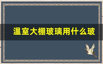 温室大棚玻璃用什么玻璃(温室玻璃大棚造价多少钱)_https://www.hhem8.com_上交所_第1张