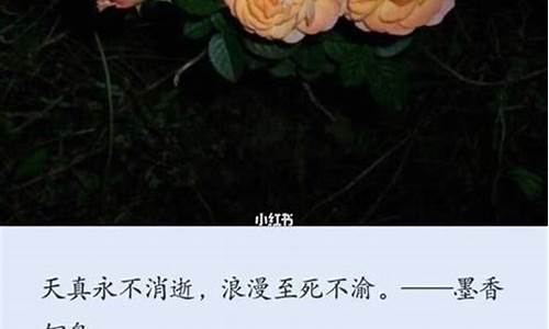 温柔浪漫至死不渝文案_温柔浪漫至死不渝文案短句