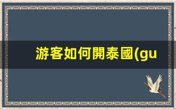 游客如何開泰國(guó)銀行卡呢(泰國(guó)銀行卡辦理流程)