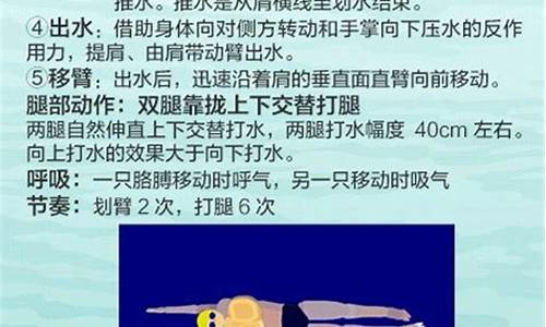 游泳的正确方式,游泳的正确方式绘画