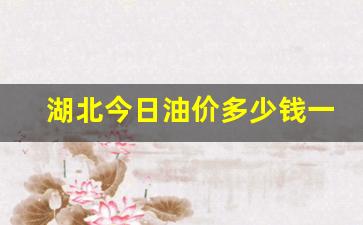 湖北今日油价92汽油价格表-湖北今日油价