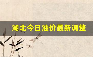 湖北今日油价最新调整消息表-湖北今日油价最新调整消息