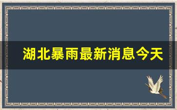 湖北暴雨最新消息今天_湖北暴雨最新消息今天729日