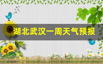 湖北武汉一周的天气预报_湖北武汉一周天气预报15天周详情最新