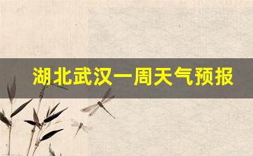 武汉一周天气预报情况_湖北武汉一周天气预报30天详情表最新版