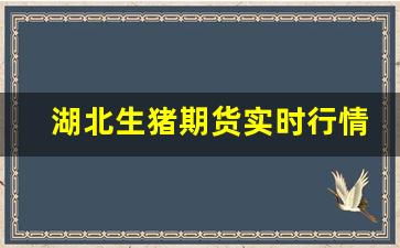 湖北生猪期货实时行情最新(湖北省生猪市场行情价格)_https://www.qldgs.com_恒指期货_第1张