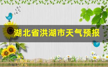 湖北省洪湖市天气预报30天查询_洪湖市的天气预报
