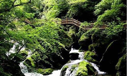 湖北省神农架旅游景点天气预报,湖北省神农架风景区天气预报