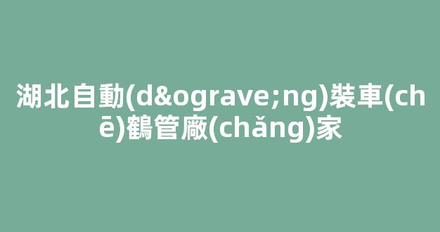 湖北自動(dòng)裝車(chē)鶴管廠(chǎng)家(裝車(chē)鶴管規(guī)格型號(hào))(1)
