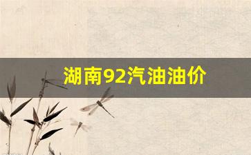湖南92汽油油价-湖南92汽油油价多少