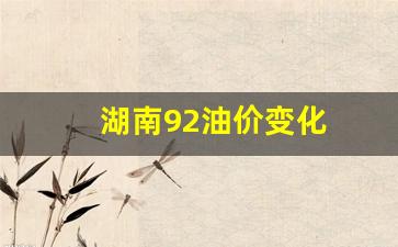 湖南92油价变化_湖南油价92汽油