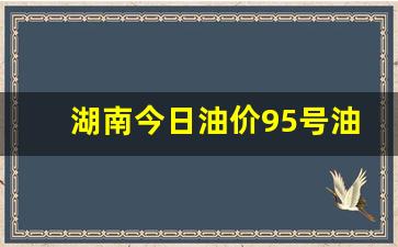 湖南今日油价95号油价行情查询最新-湖南今日油价95号油价行