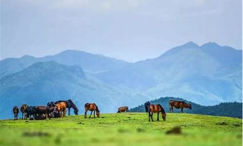 湖南旅游攻略自由行最佳线路_湖南冷门但很美的地方